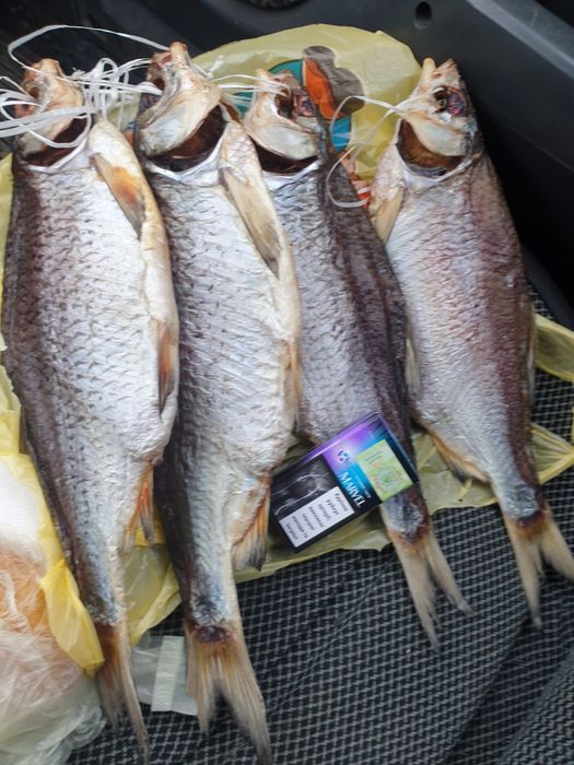 Вкусная Рыба сушеная тарань, лящь, синец, густера,судак: 99 грн ...