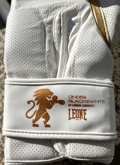 Luvas de Boxe Leon