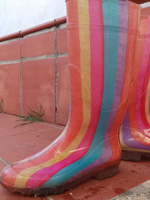 Galochas (botas borracha) coloridas