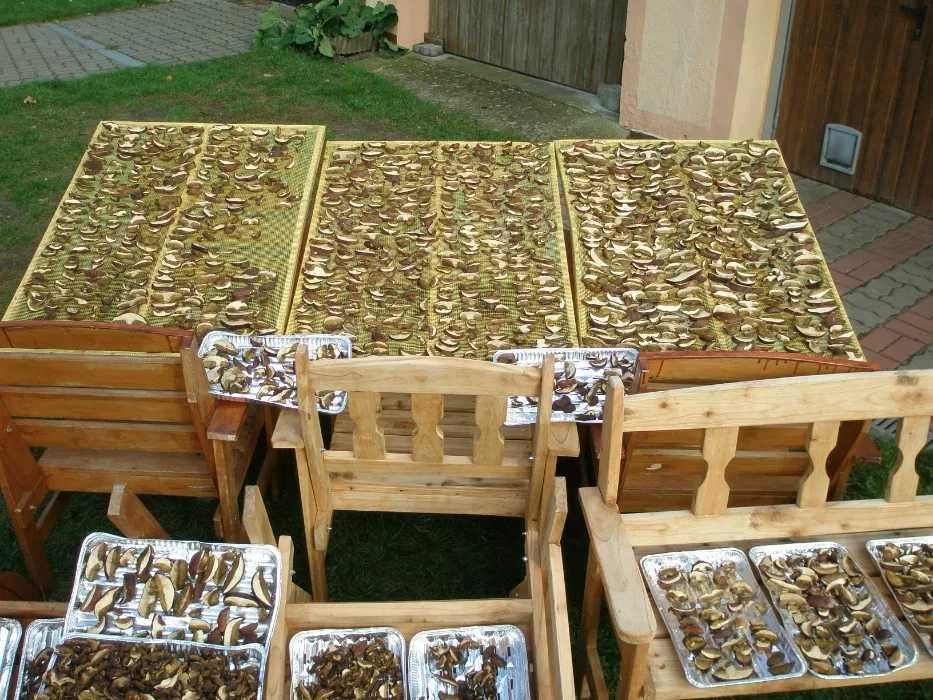 Podgrzybki suszone sprzedam