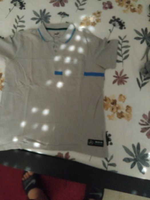 Polo puma mercedes