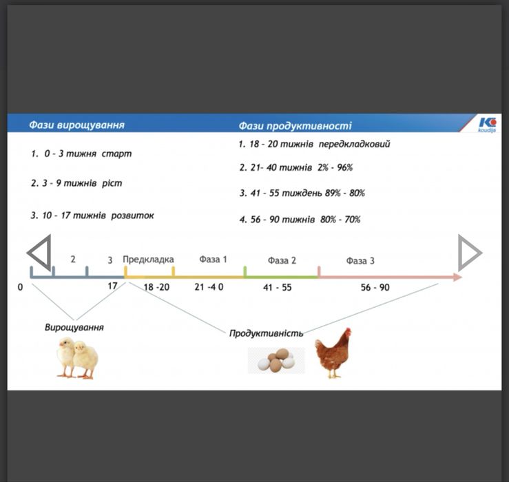Премікс 2,5% для курей несучок у період яйцекладки