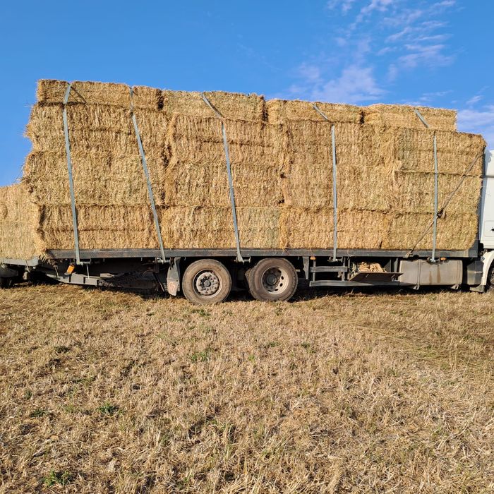 Fardos de feno80x90 e rolos de fenosilagem 

Feno de boa qualidade 
Dispomos de grandes quantidades, acesso à semi-reboques.
