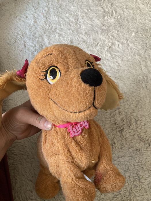 Zestaw dwóch interaktywnych piesków