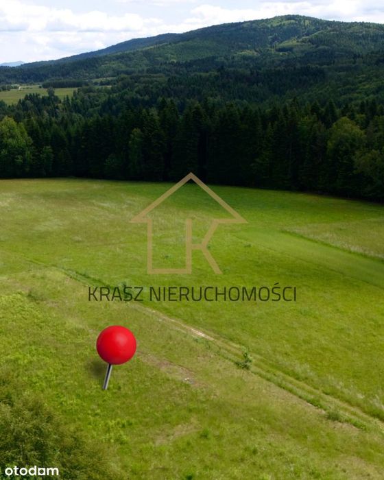 Widokowa działka 2292 m² w Naprawie
