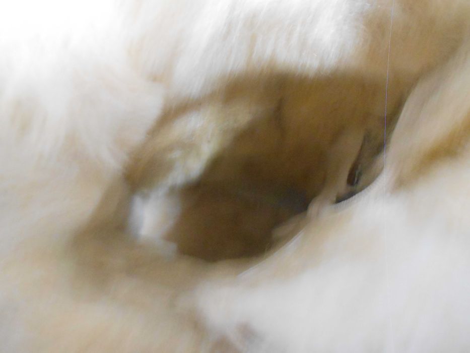 Зимові ботинки, черевики crocs р. us6/36/23,5см. нові. оригінал