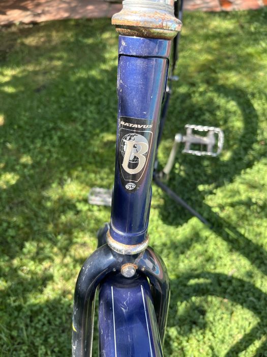 Bicicleta Holandesa Batavus