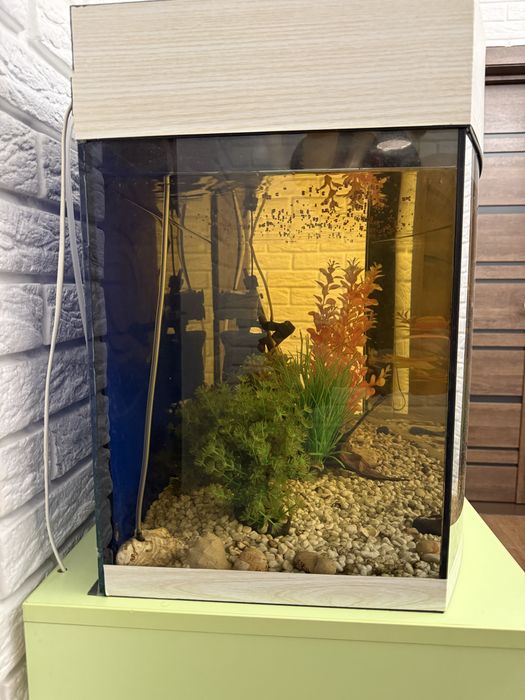 Акваріум з усім приладдям