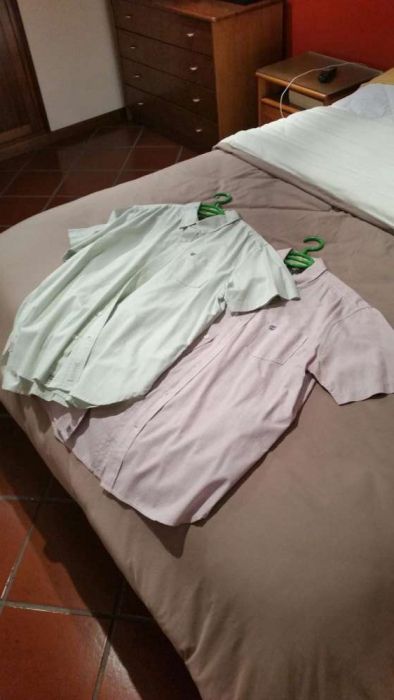 Timberland Camisas Manga Curta