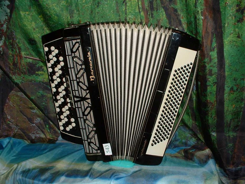 Promoção de Acordeões de concertinas