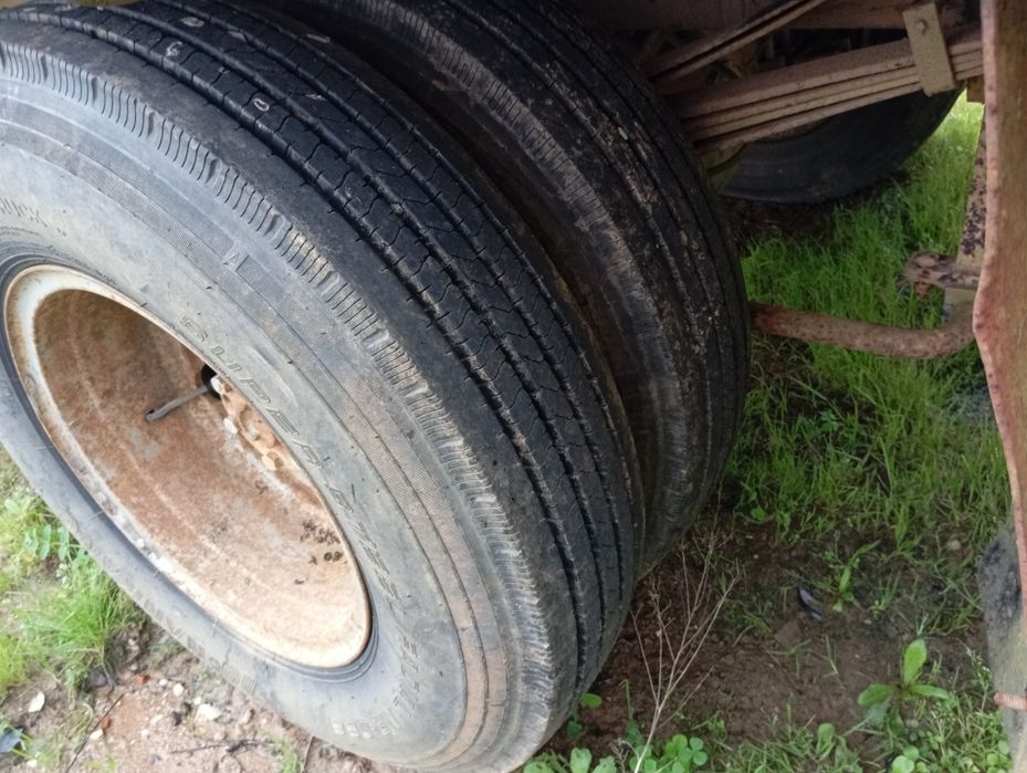 Carro para frutas, pneus novos.novoa