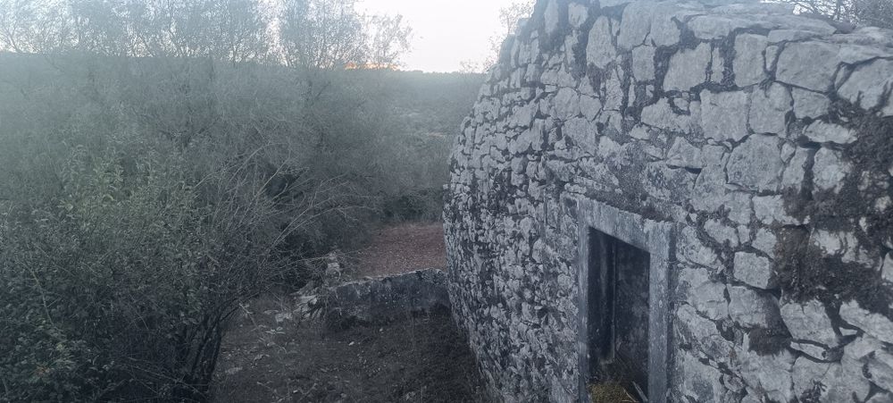 Terreno urbano no PNSAC – 1.525 m² | Alcanede | Sossego e Natureza