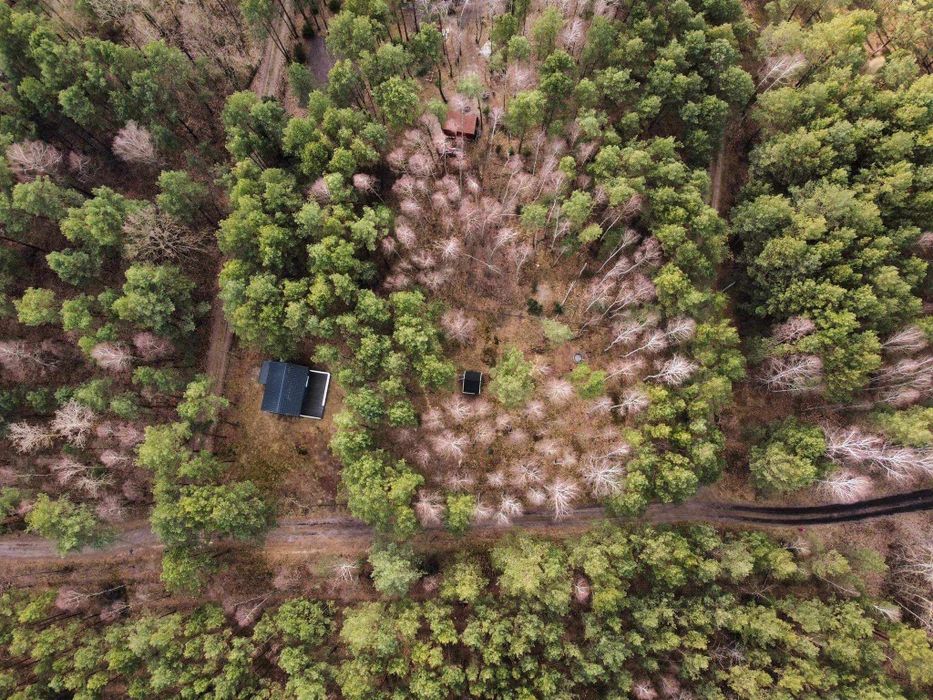 Domek 4os jacuzzi, balia, las wynajem