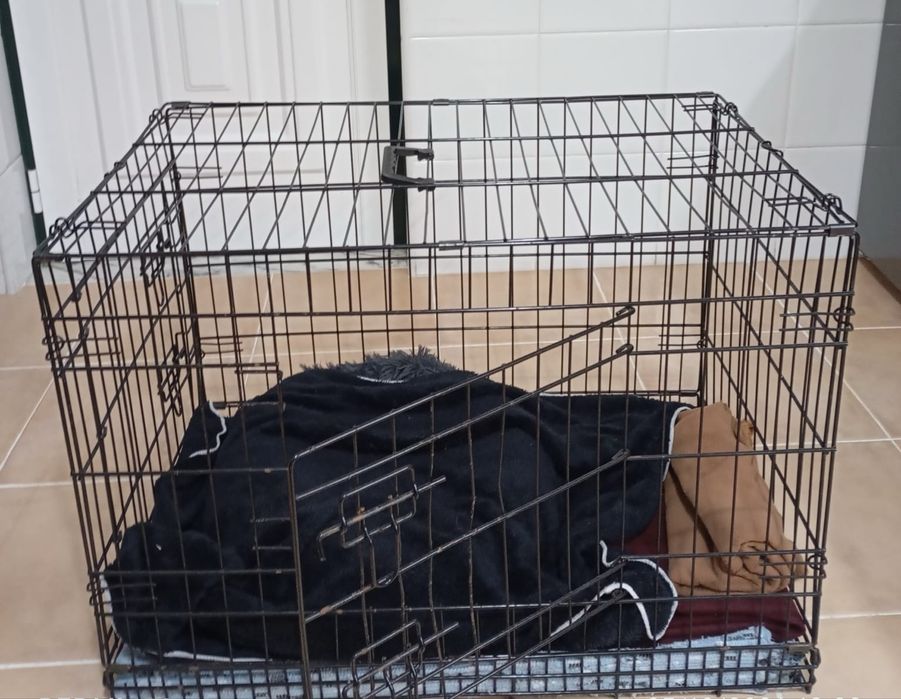 Dog crate