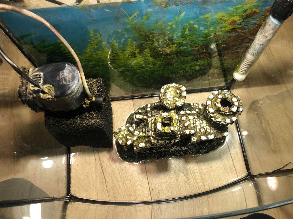 Акваріум  зі всім комплектом