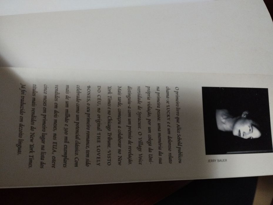 Visto do Céu de Alice Sebold