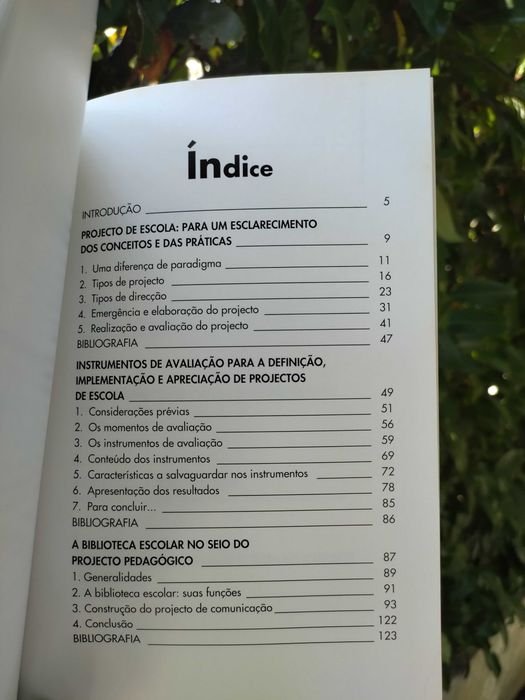 A construção do projecto de escola (Adalberto Dias de Carvalho)