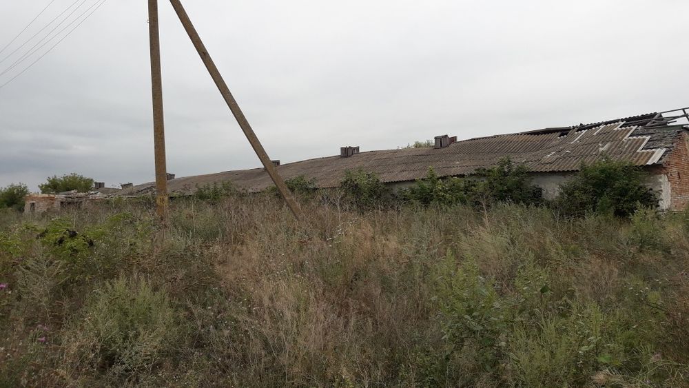 Ферма (фермерское хозяйство)