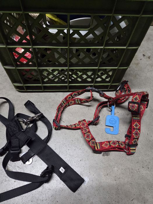 Trelas coleiras arnês vários novo