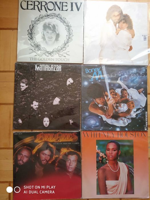 Виниловые пластинки