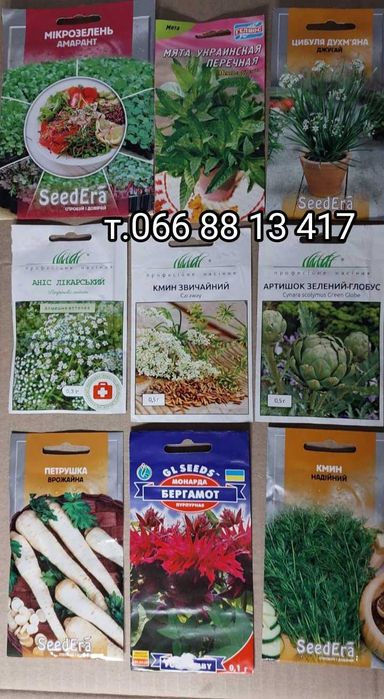 Лікарські рослини Ківано Мелотрія Мамордика Шалфей Лаванда Тархун Чере