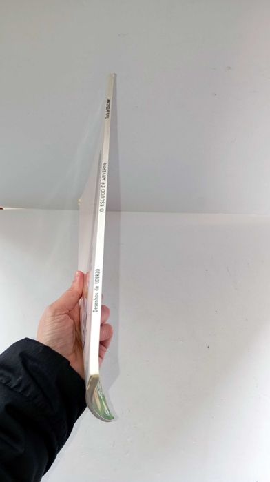 O Escudo de Alverne - Astérix (Capa Fina)