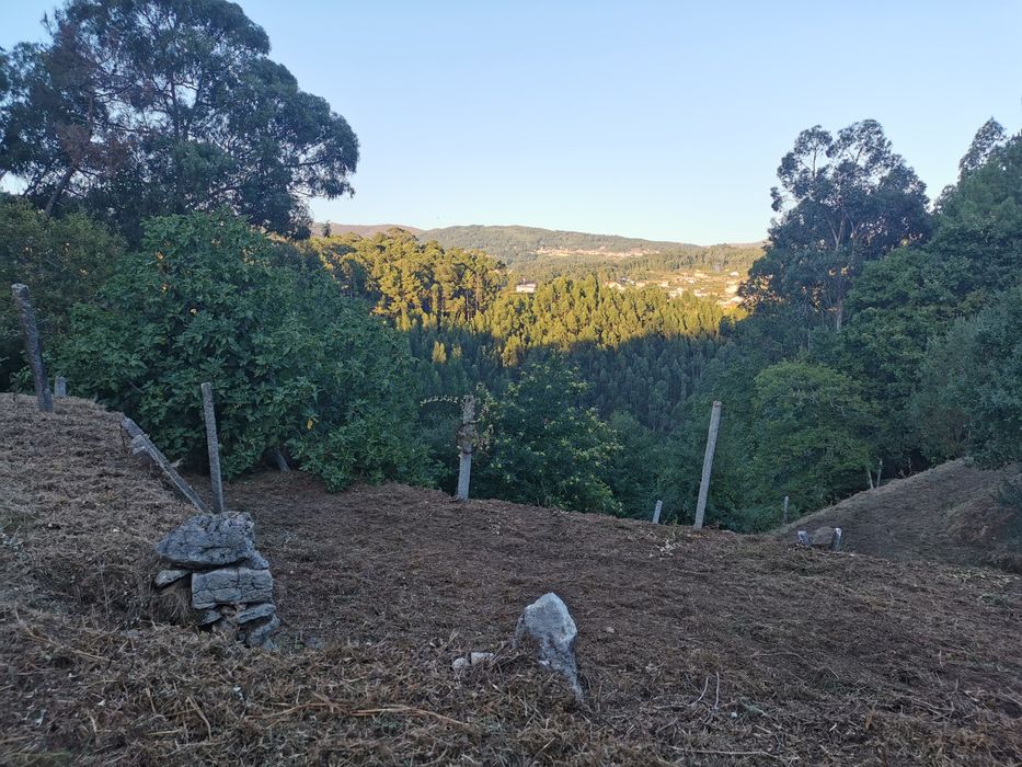 Terreno Quinta Vale Cambra Costa Anelha 0,5HA