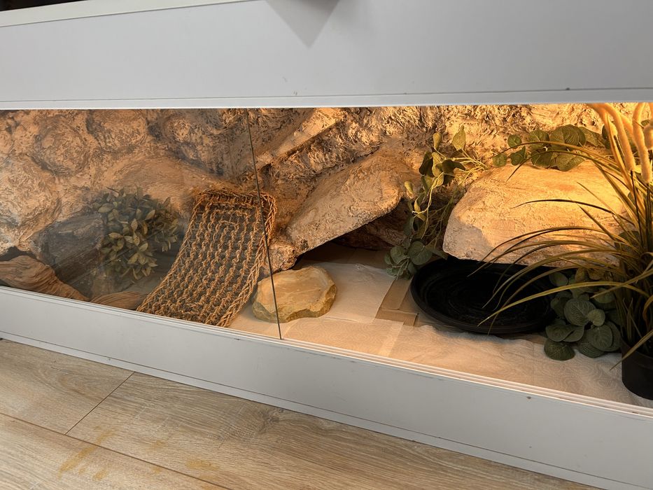 Terrarium