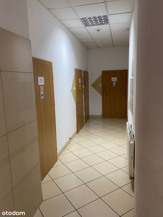 Lokale do wynajęcia od 80m2 -250m2 CENTRUM MIASTA