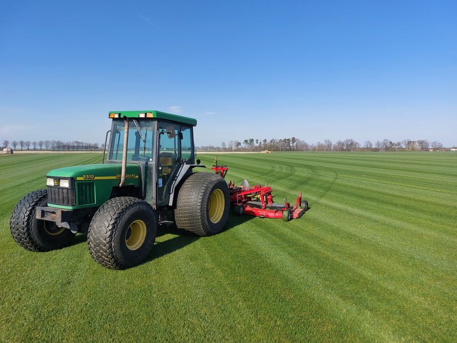 Trawa w rolce Premium 1 gatunek, trawnik z rolki