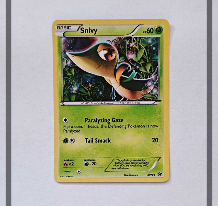 Snivy BW06 Promo Pokemon ENG-NM