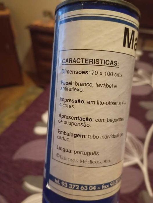 Mapa de anatomia do sistema muscular anterior e posterior