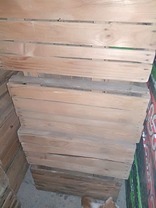 Ящики дерев'яні б/у