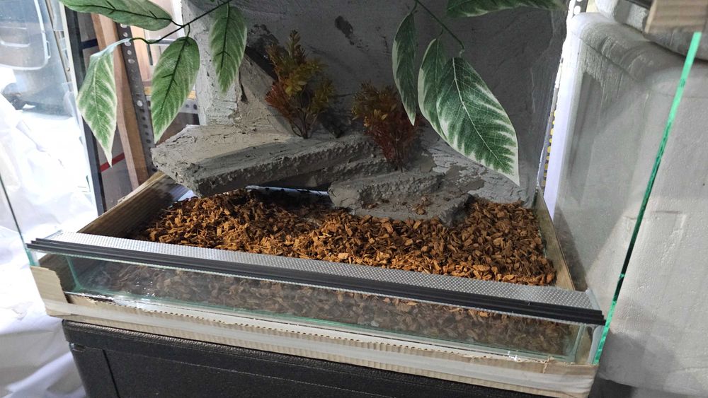Terrarium z wystrojem 60x40x40 lub 40x40x60