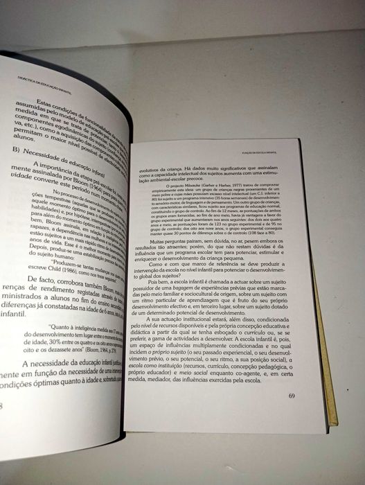 Didática da Educação Infantil