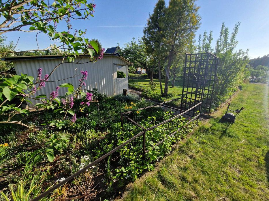 Działka ROD Dankowo