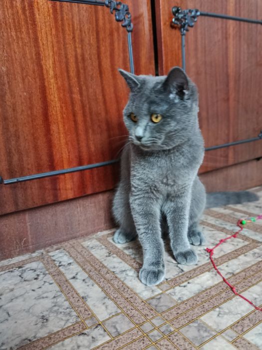 Дівчинка 8 місяців