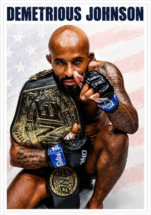 Lote 8 Posters lutadores MMA
