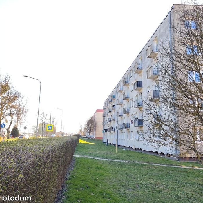 Wałcz, 2 pokoje, parter,