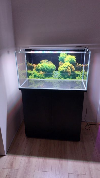 Akwarium optiwhite 145 l