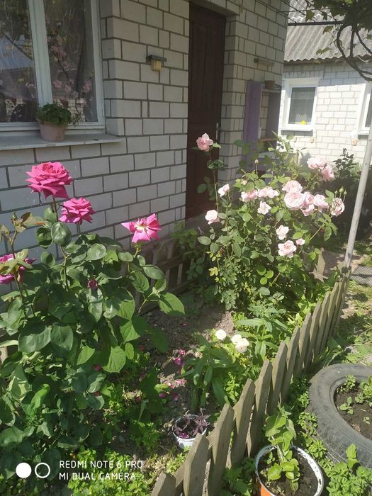 Будинок в с.Городище /25 соток ,газ ,світло ,сади