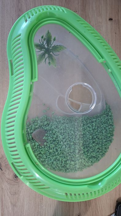 Тераріум для черепахи