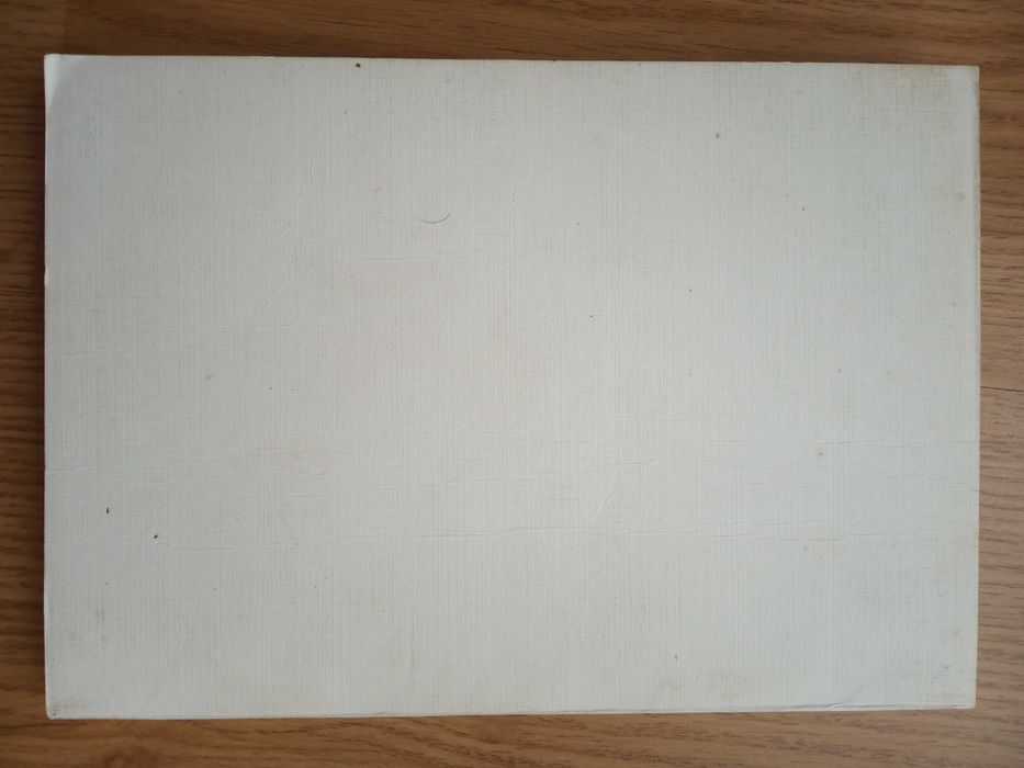 Антемійчук. Норильські табори. Табірник Е-058 (Спогади)