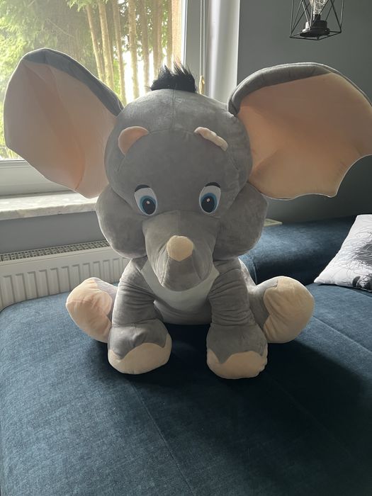 Duży słoń z wielkimi uszami