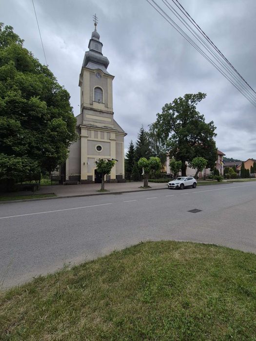 Продається будинок з чудовим краєвидом  у селі  Березний