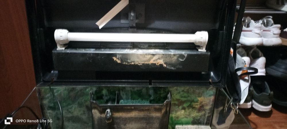 Aquário para peixes de água quente ou frio