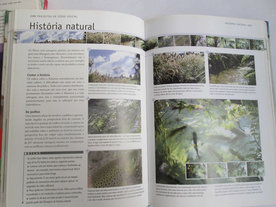 Manual de Vídeo Digital: Equipamento. Edição. Projectos. Técnicas.