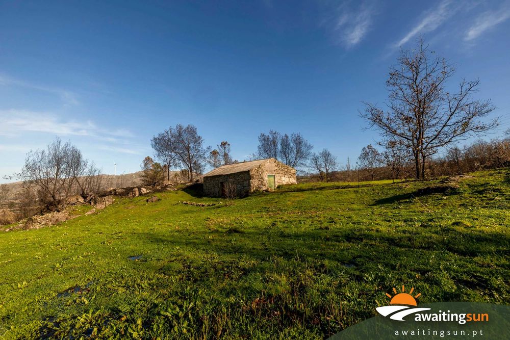 Quinta com casa e água – 1 hectare natureza Serra da Estrela