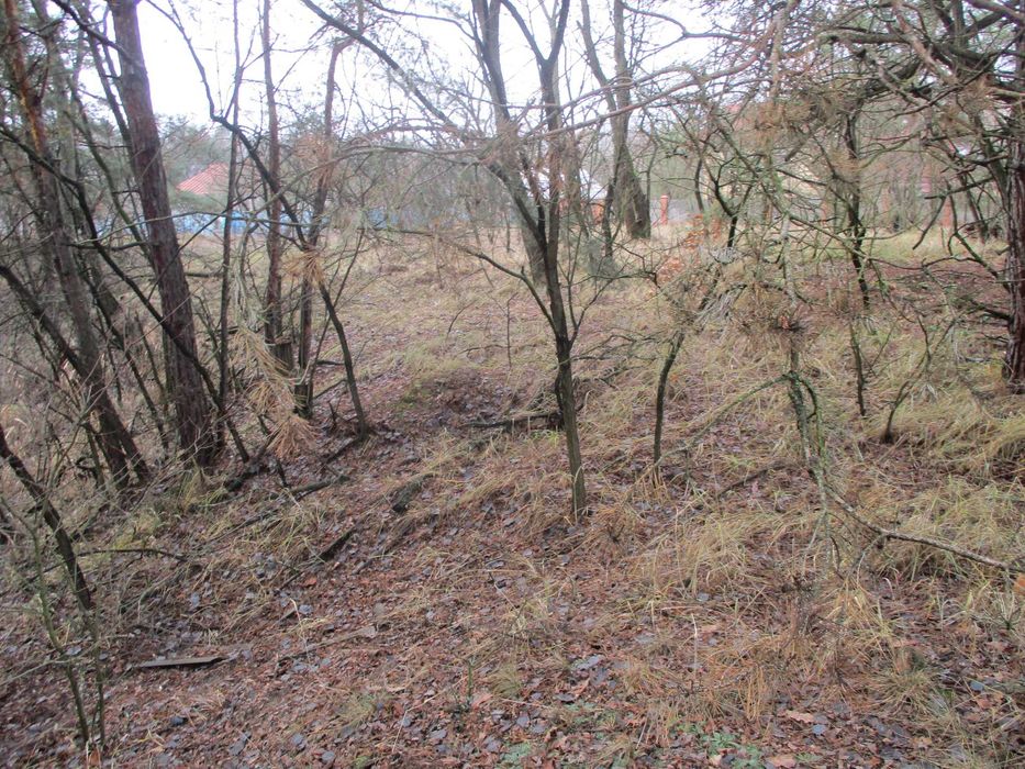 Продаж земельної ділянки 22,47 сот. Київська обл., с.Жукин  9100$