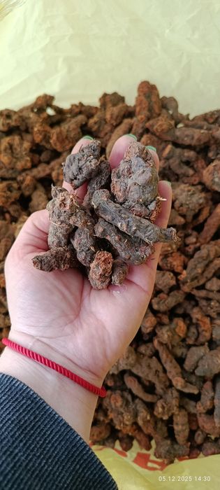 Продам корінь калгану